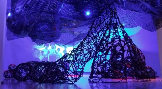 世界水泳選手権2023福岡大会記念展「水のアジア」-1