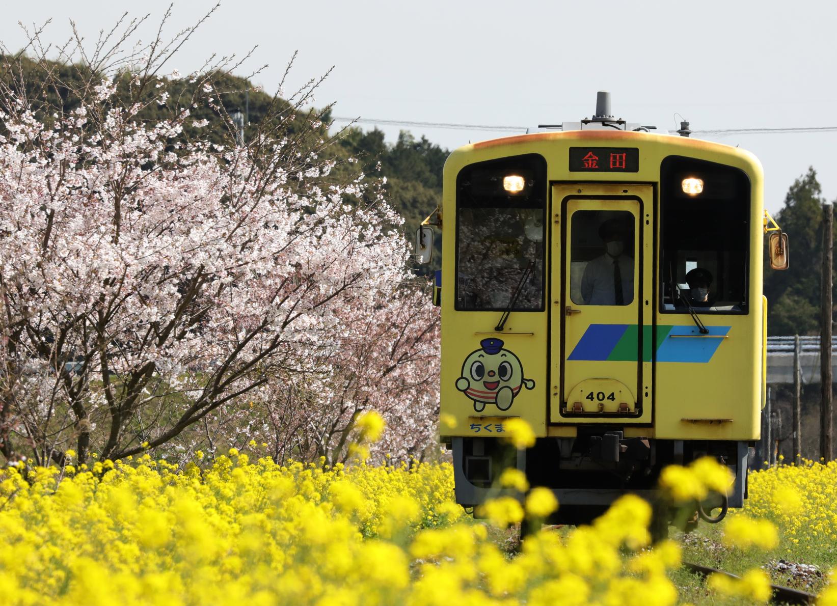 平成筑豊鉄道株式会社-0