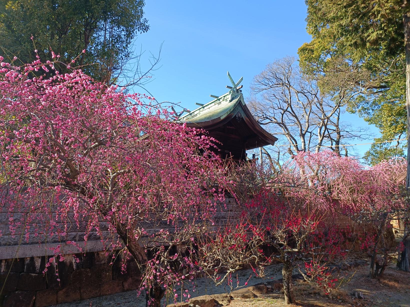三笠神社-1