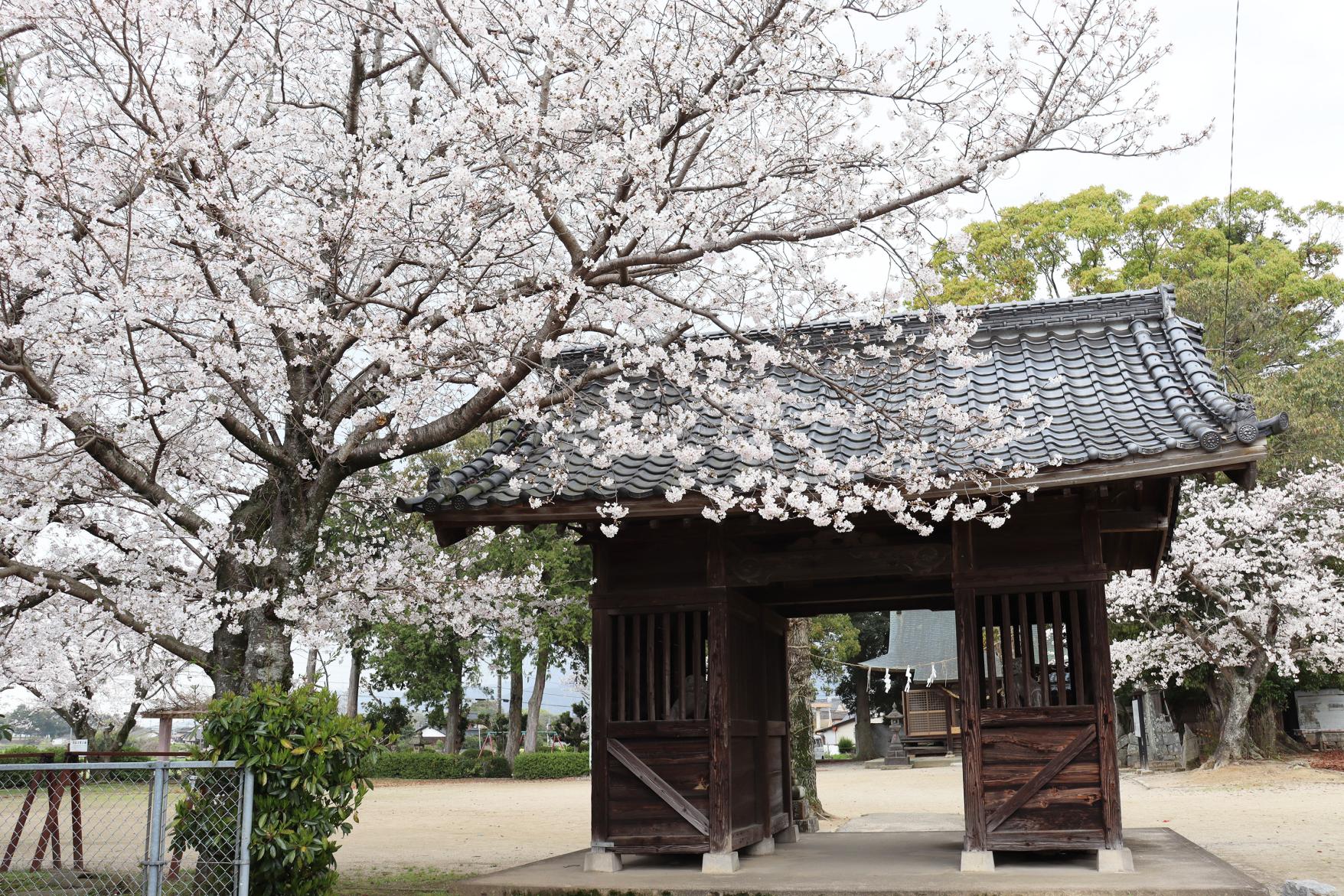 西岛灶门神社-2