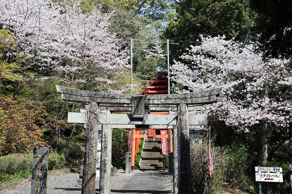 Kuroiwa Inari Shrine-0