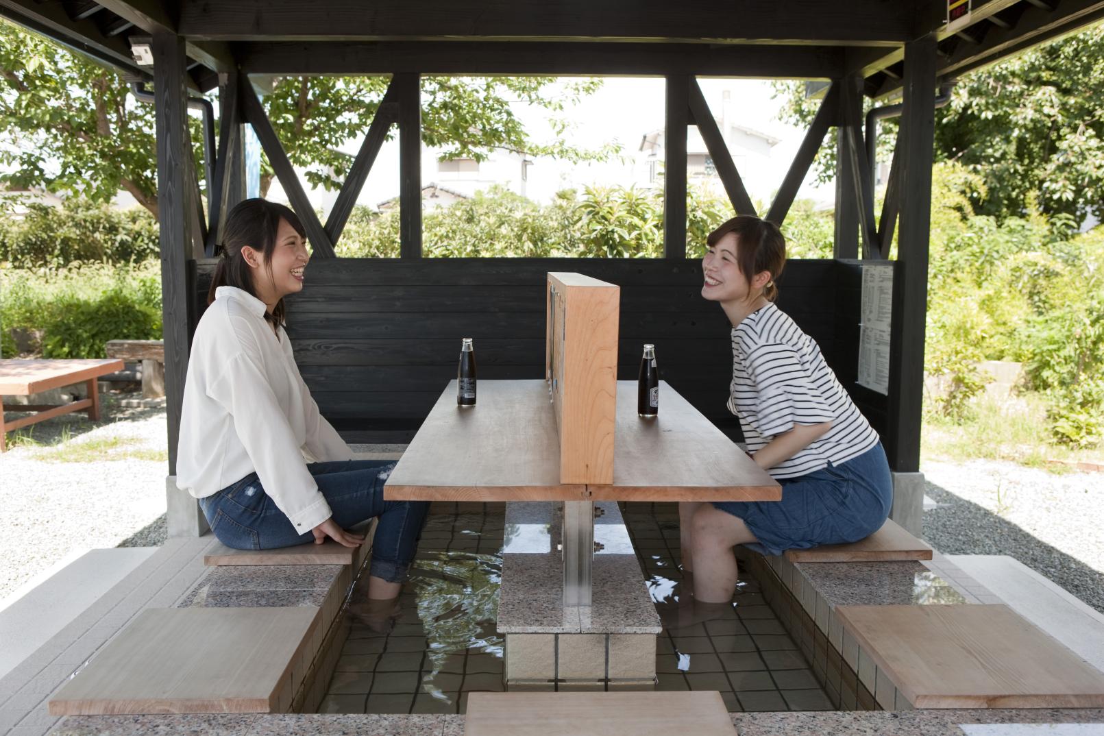 Nagata Mineral Spring Fureaikan-6