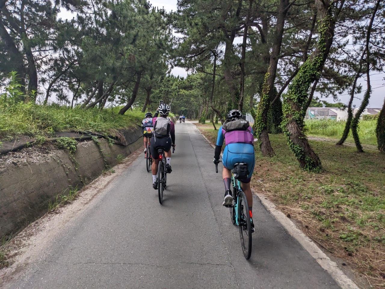 有明海一周サイクリング　サイクリングariichi2023-4