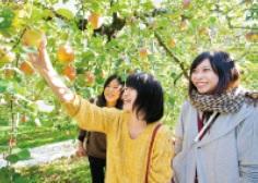 【飯塚発着】味覚の秋・芸術の秋、飯塚・嘉麻日帰りバスツアー-0