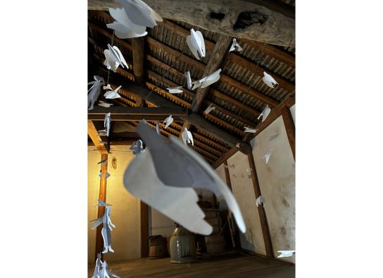 のぞきあなART津屋崎-1