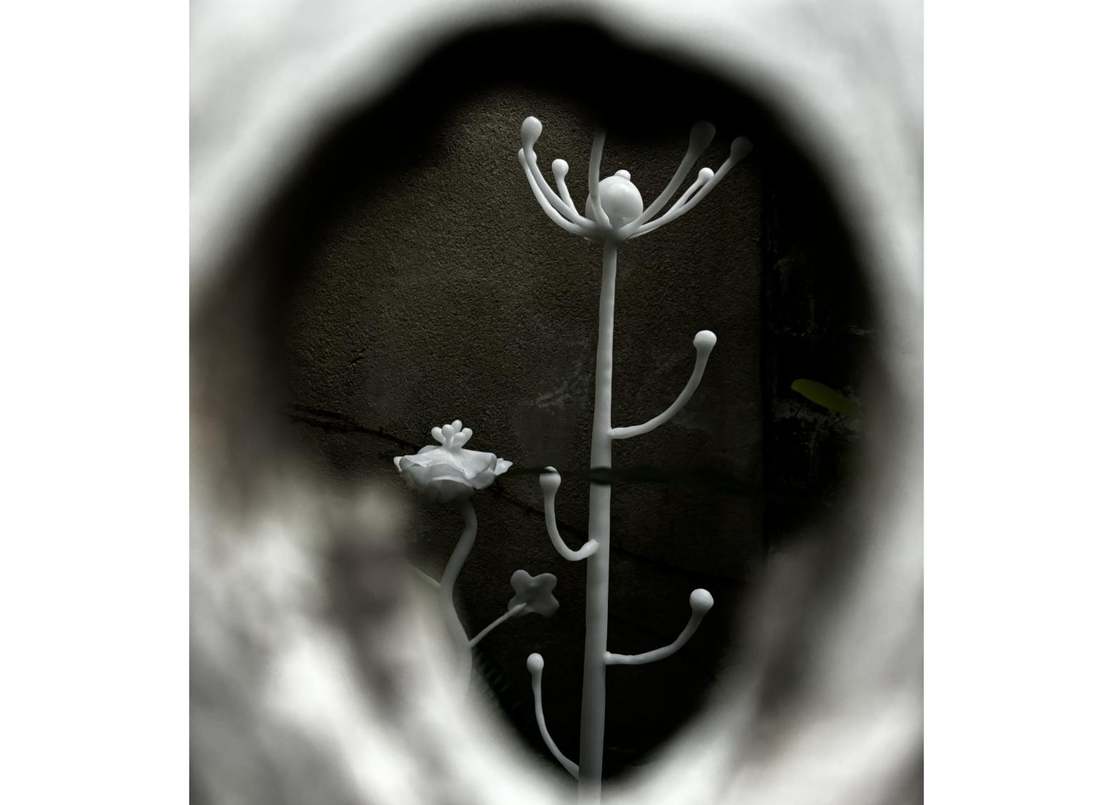 のぞきあなART津屋崎-2