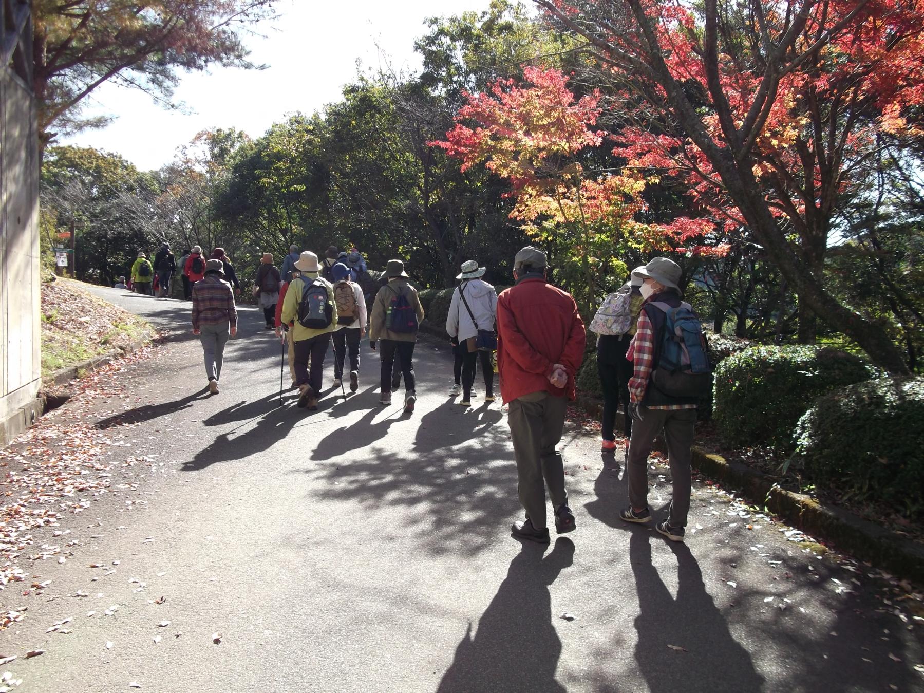 紅葉ウォーク（第34回八女くろぎふるさと祭りサテライトイベント）