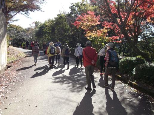 紅葉ウォーク（第35回八女くろぎふるさと祭りサテライトイベント）-0