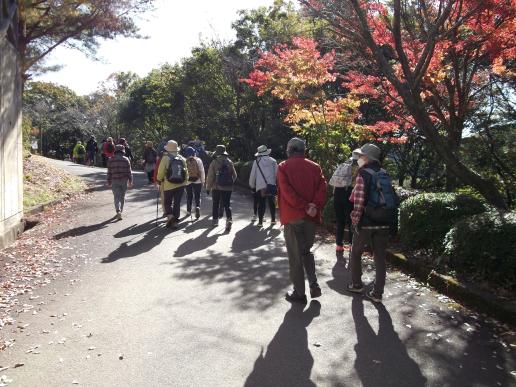 紅葉ウォーク（第34回八女くろぎふるさと祭りサテライトイベント）-0