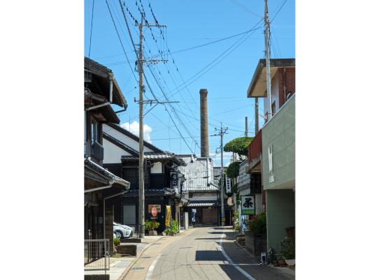JR九州ウォーキング「宮地嶽神社の菖蒲まつりと津屋崎千軒めぐり」-1