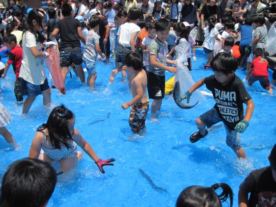 うみてらす豊前　さかな祭り-0