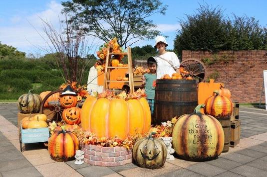 【海の中道海浜公園】ハロウィンフォトスポット-0