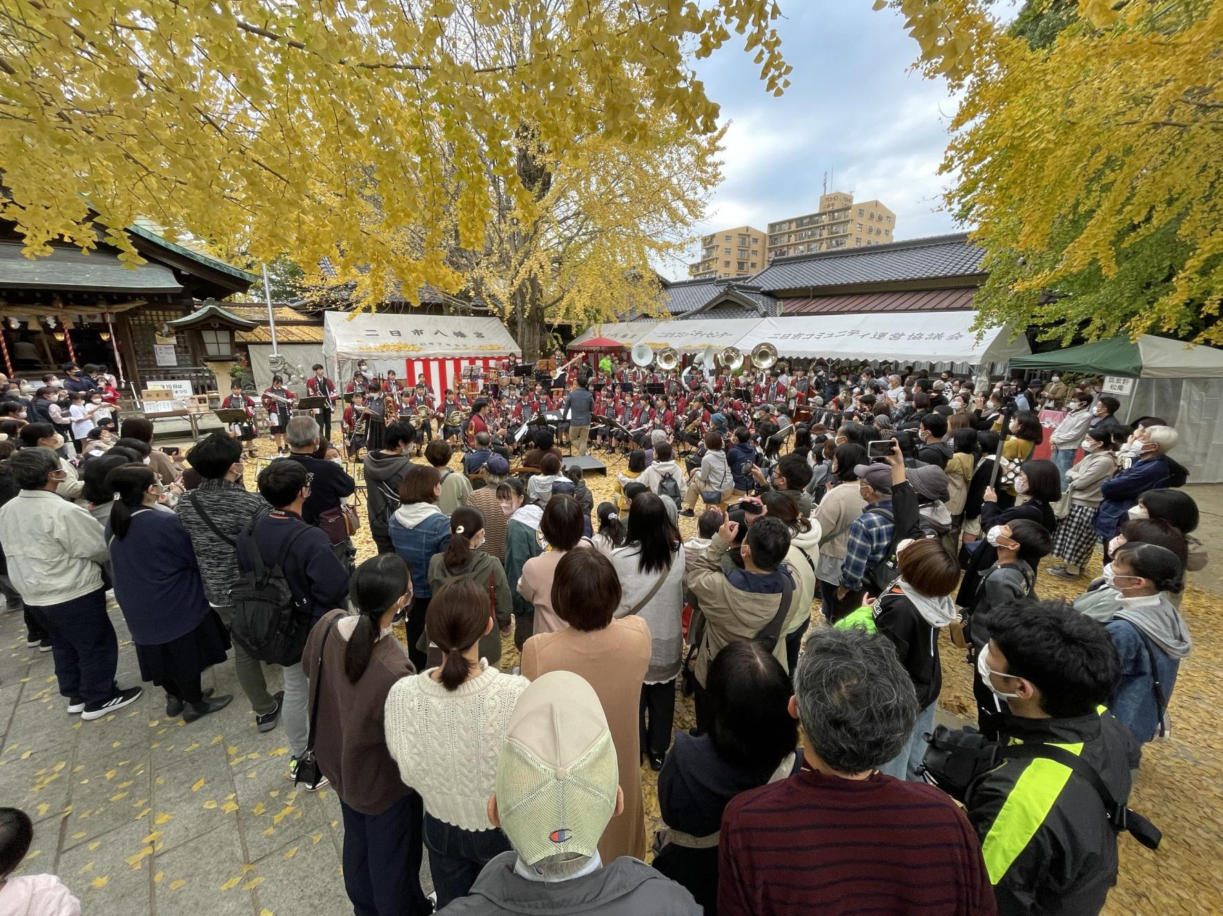 二日市八幡宮の公孫樹-5