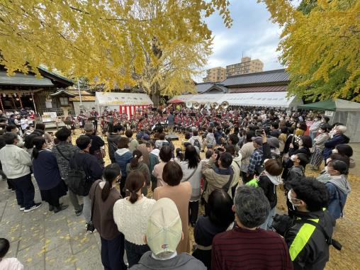 二日市八幡宮的篦子樹-5