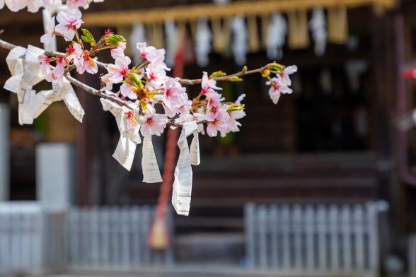 今井津須佐神社-6