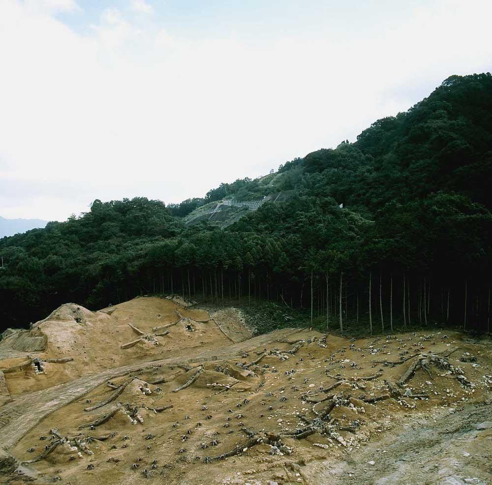 善一田古墳群