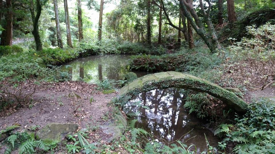 染井神社（染井の井戸）-4