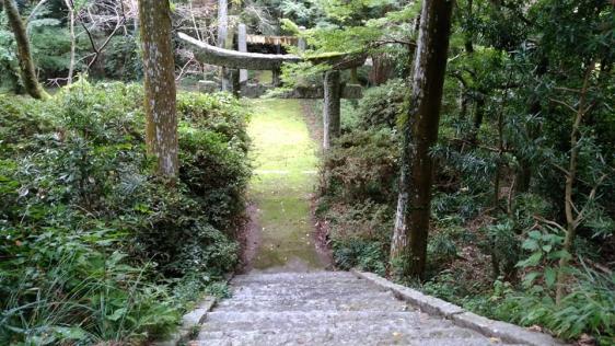 染井神社（染井の井戸）-8