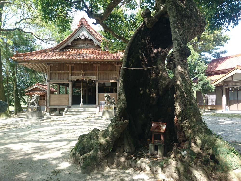 雉琴神社-1