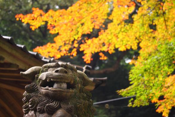 雷神社（糸島市）-0