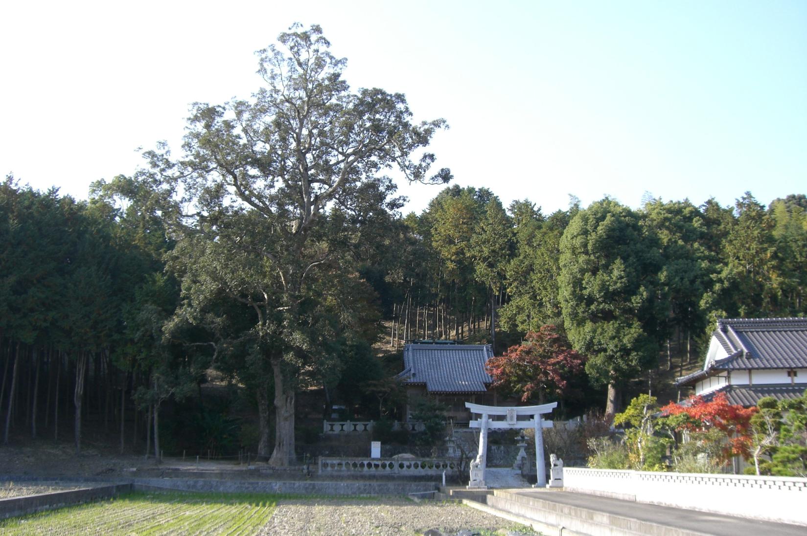 菅原神社-0