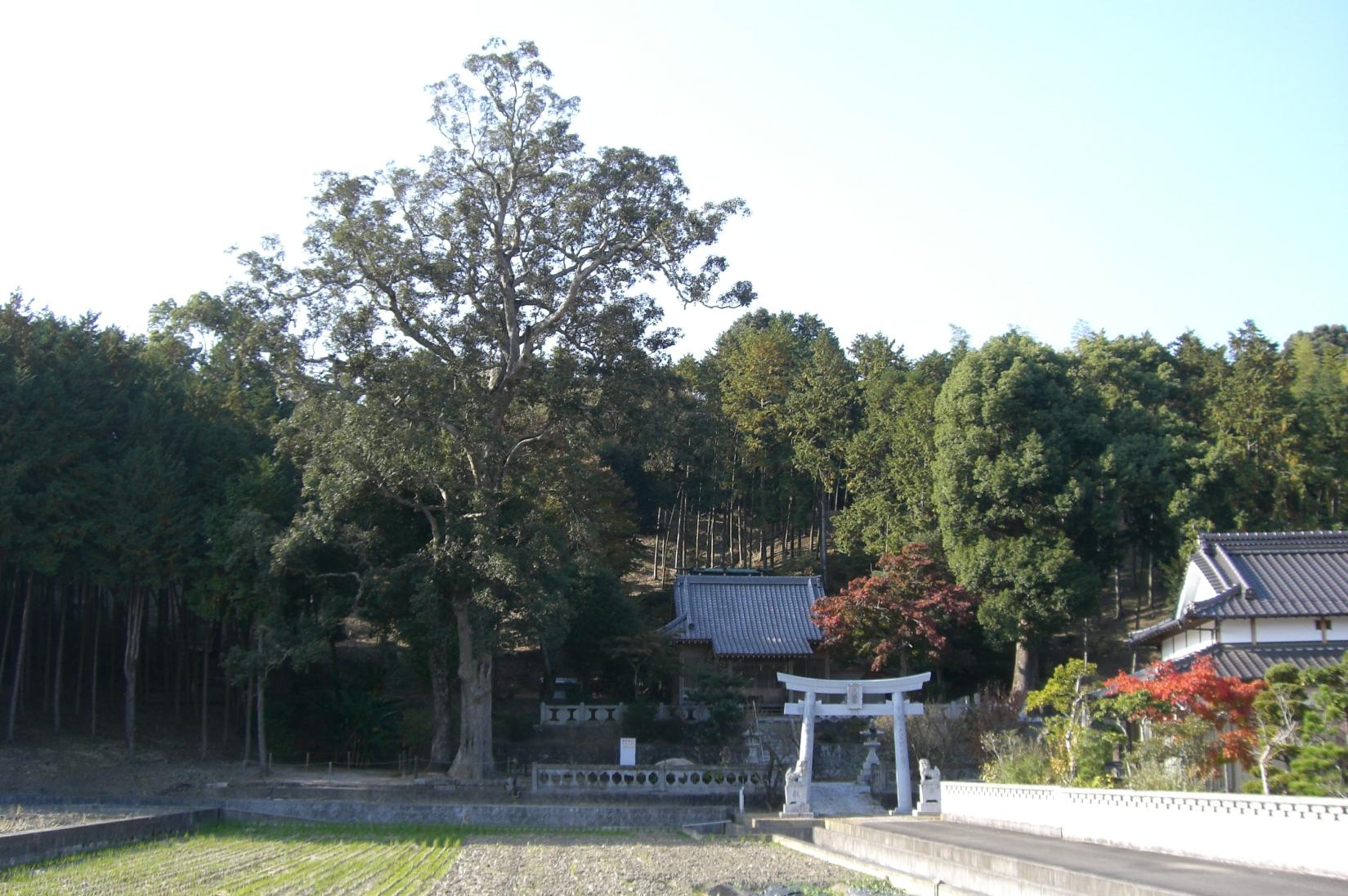 菅原神社-1