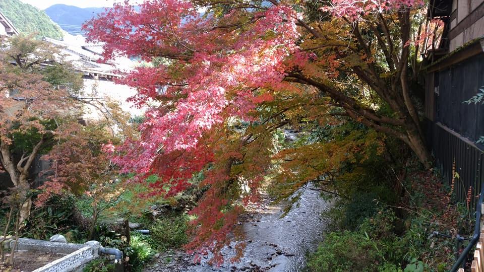 秋月八幡宮-1