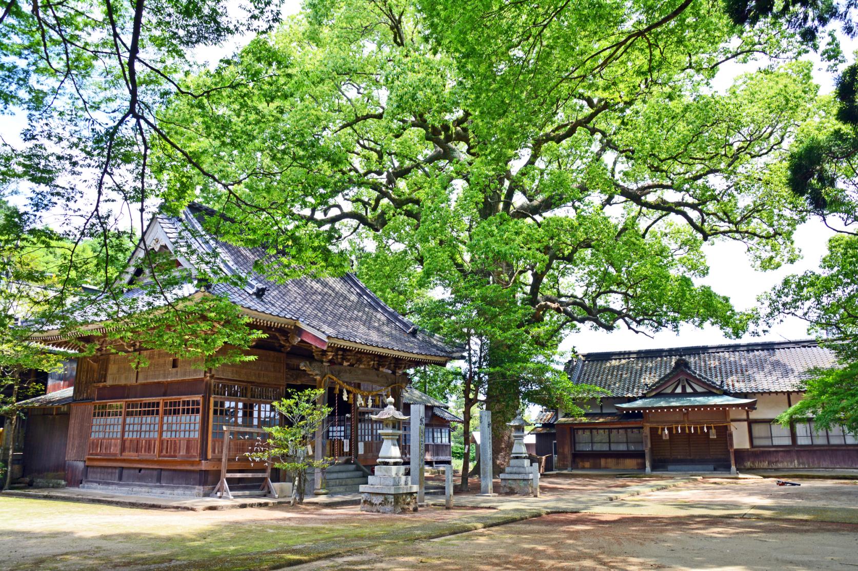 生立八幡宮-1