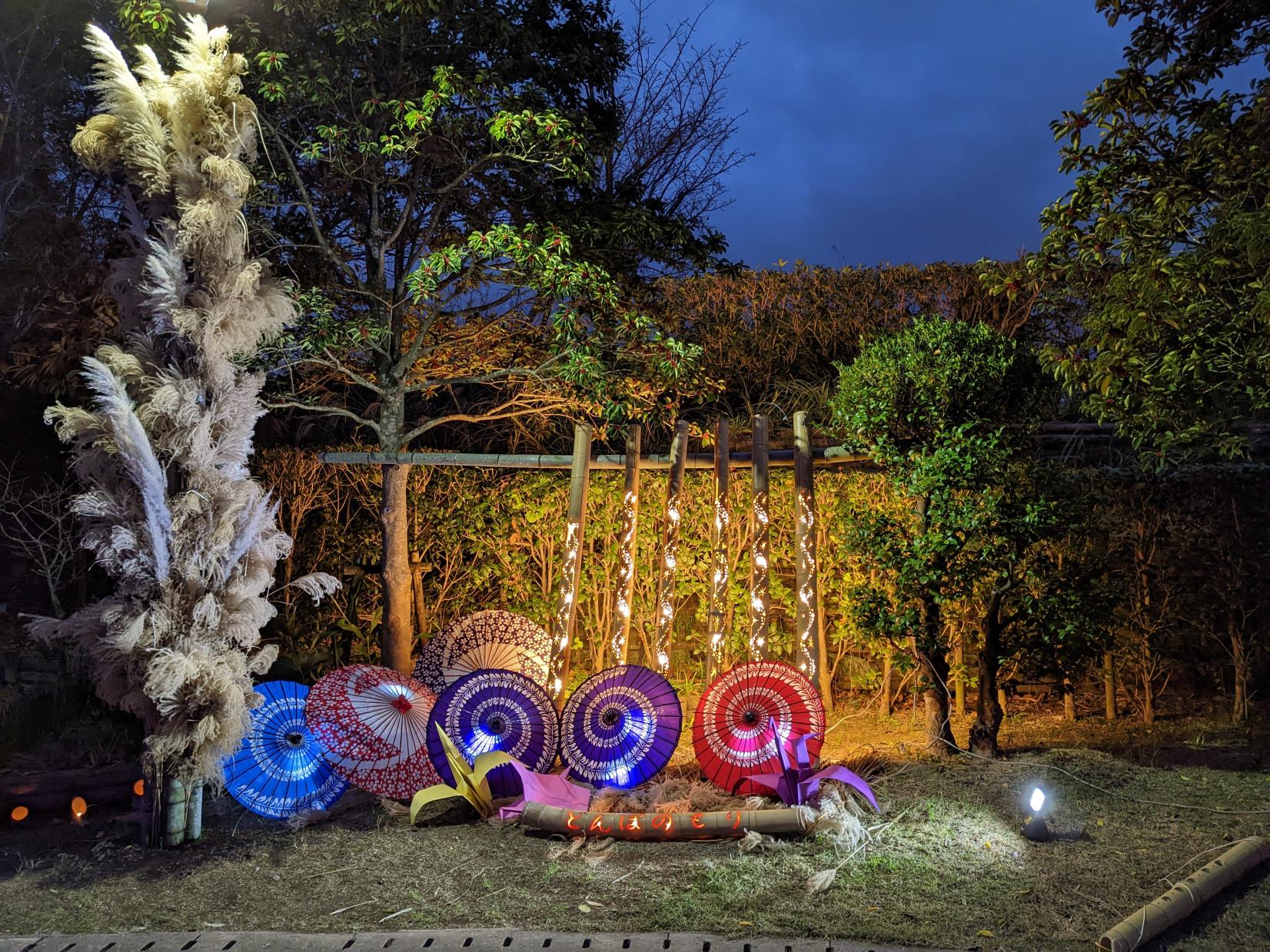 どんぽの森　光の祭典2023-1