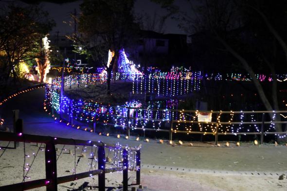 どんぽの森　光の祭典2025-2