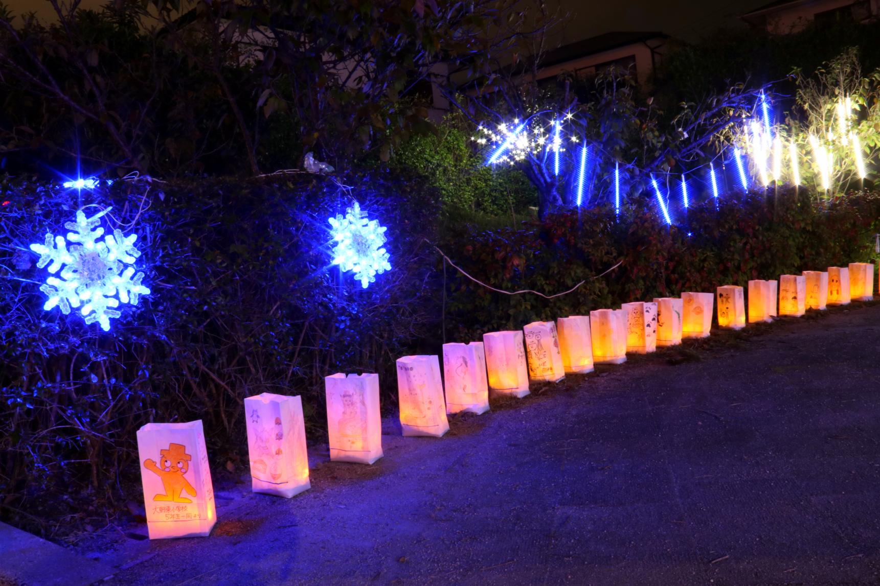 どんぽの森　光の祭典2025-1