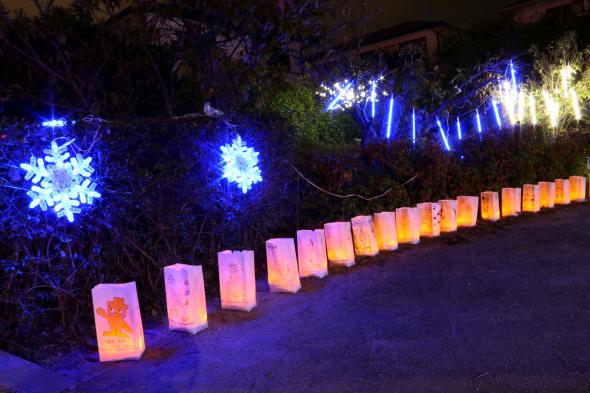 どんぽの森　光の祭典2025-1