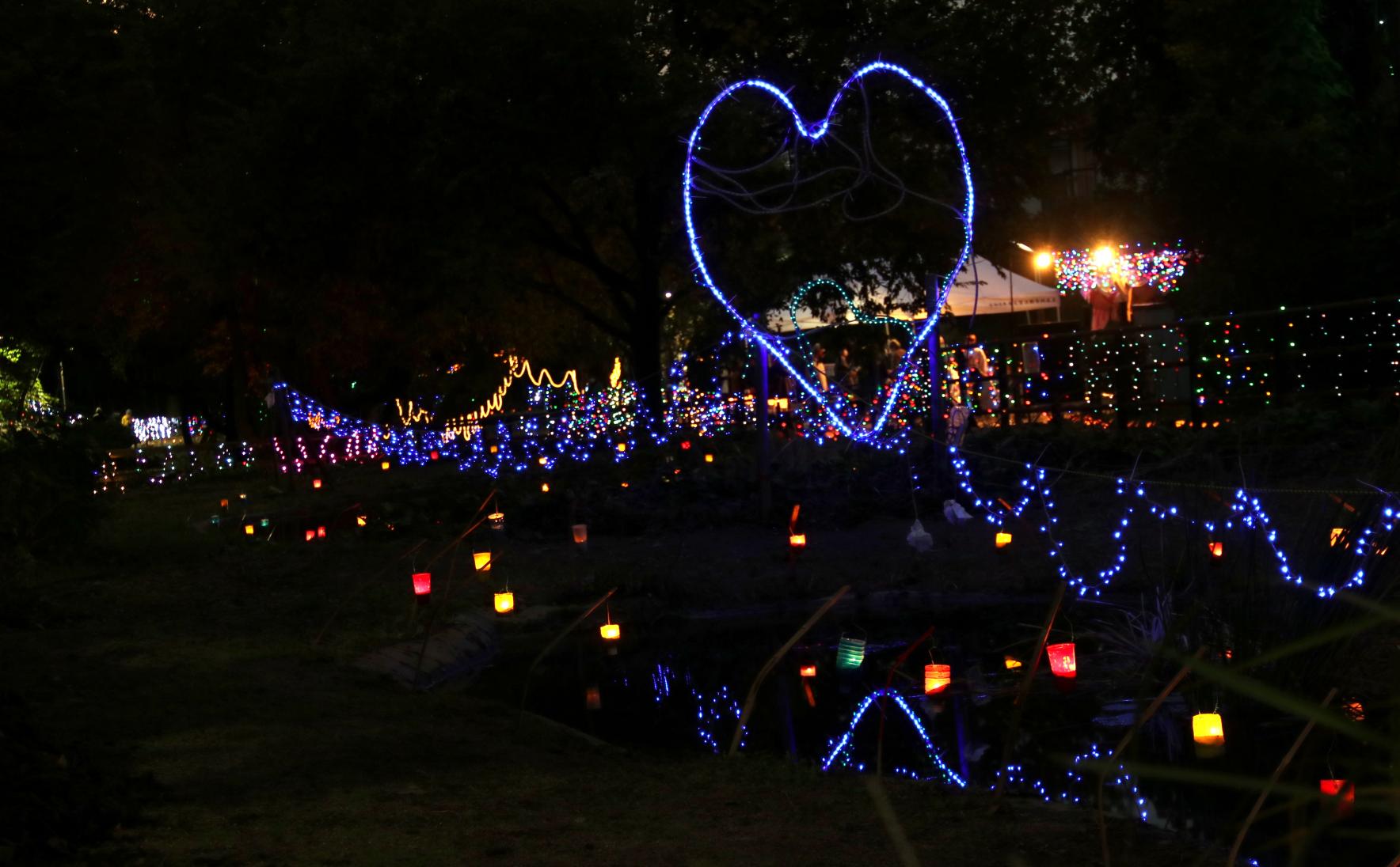 どんぽの森　光の祭典2025-5