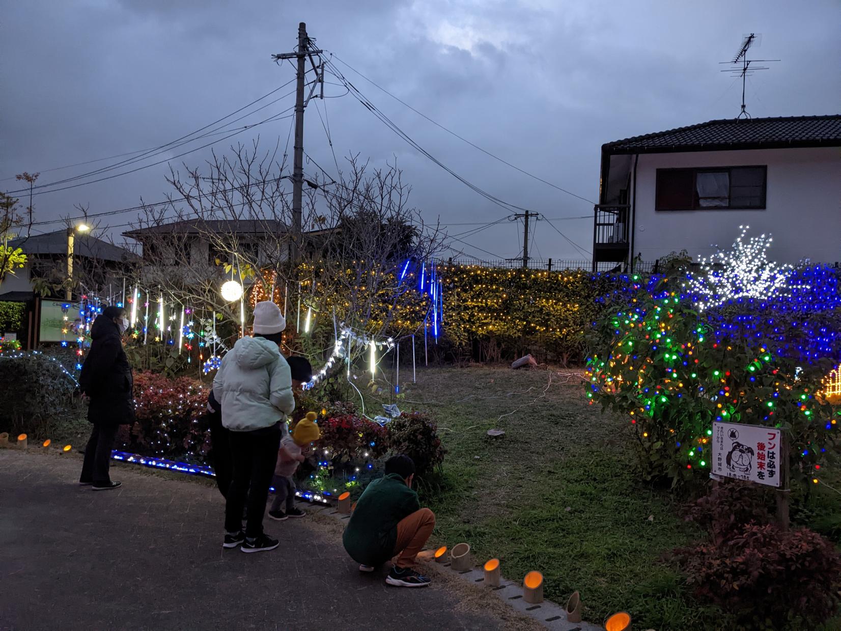 どんぽの森　光の祭典2023-2