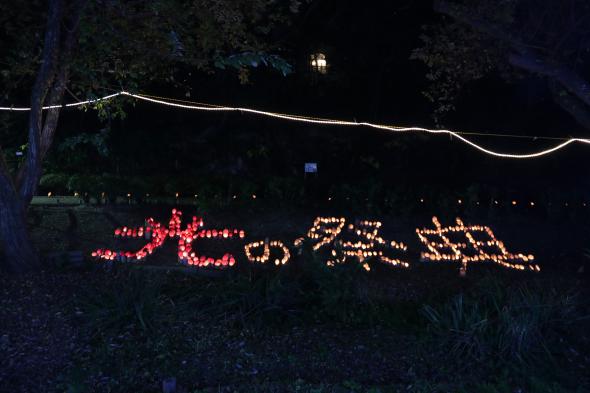 どんぽの森　光の祭典2025-6