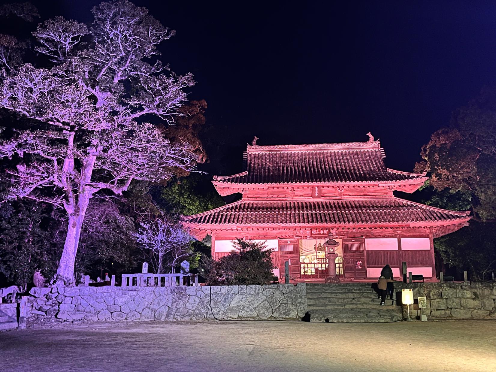 ライトアップ in 令和の都だざいふ（太宰府市）