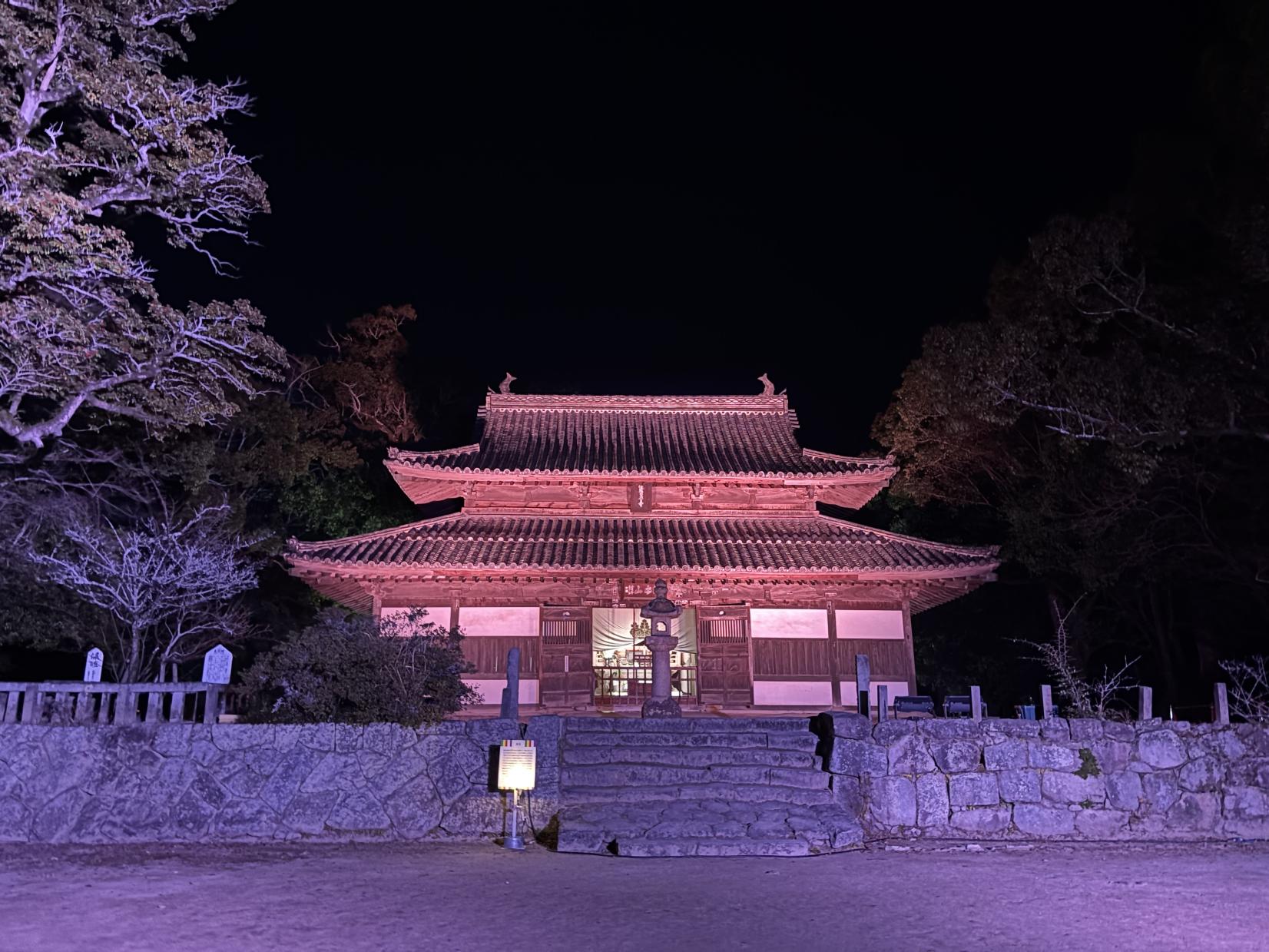 ライトアップ in 令和の都だざいふ（太宰府市）