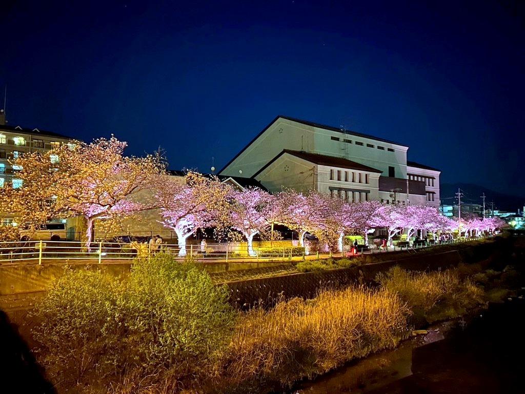 ライトアップ in 令和の都だざいふ-1