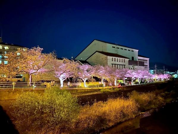 ライトアップ in 令和の都だざいふ-1