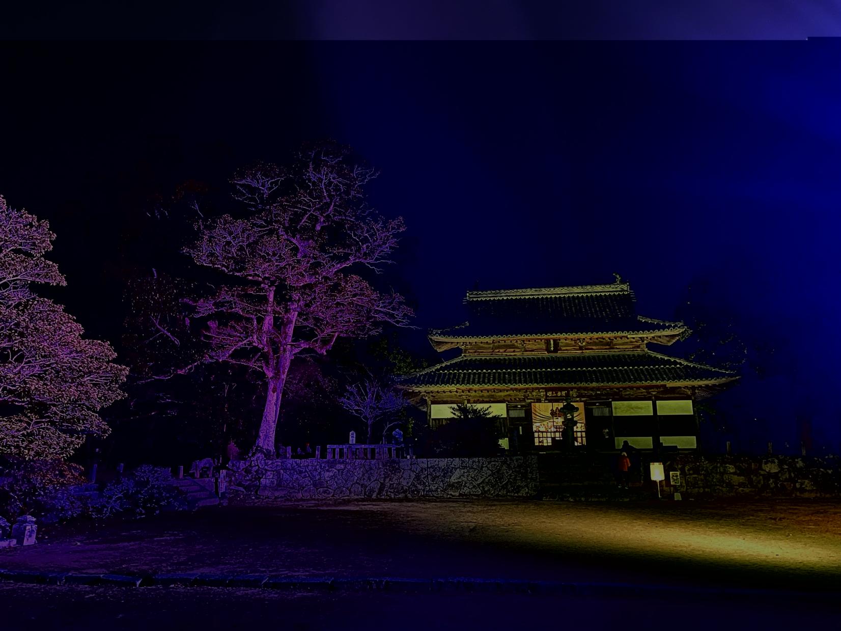 ライトアップ in 令和の都だざいふ-1