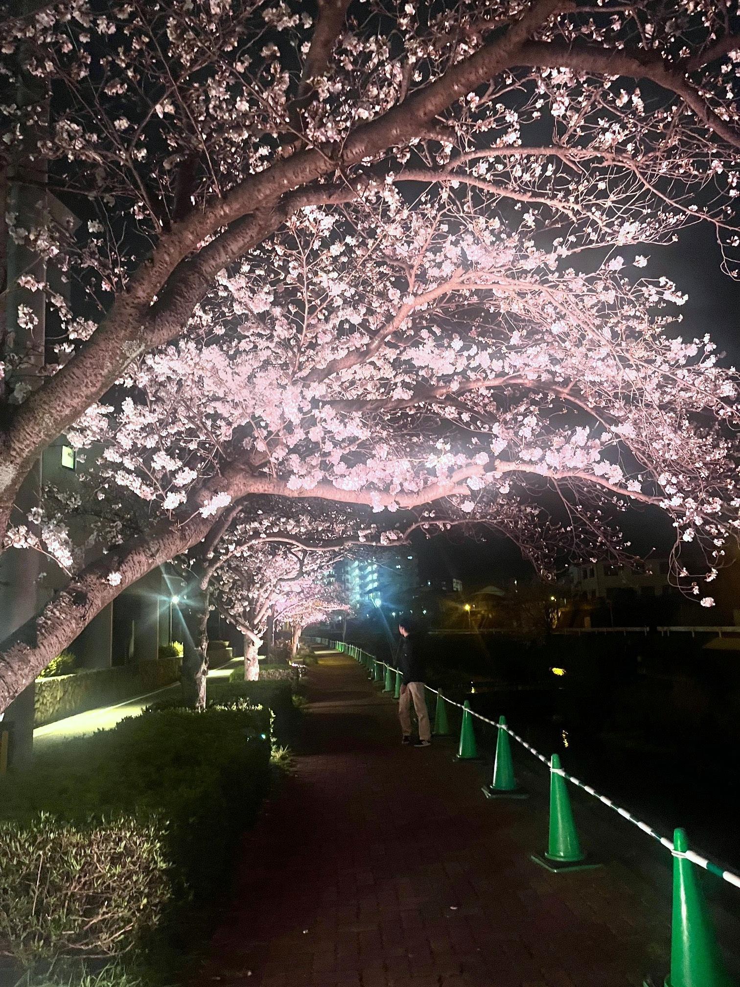 ライトアップ in 令和の都だざいふ-4