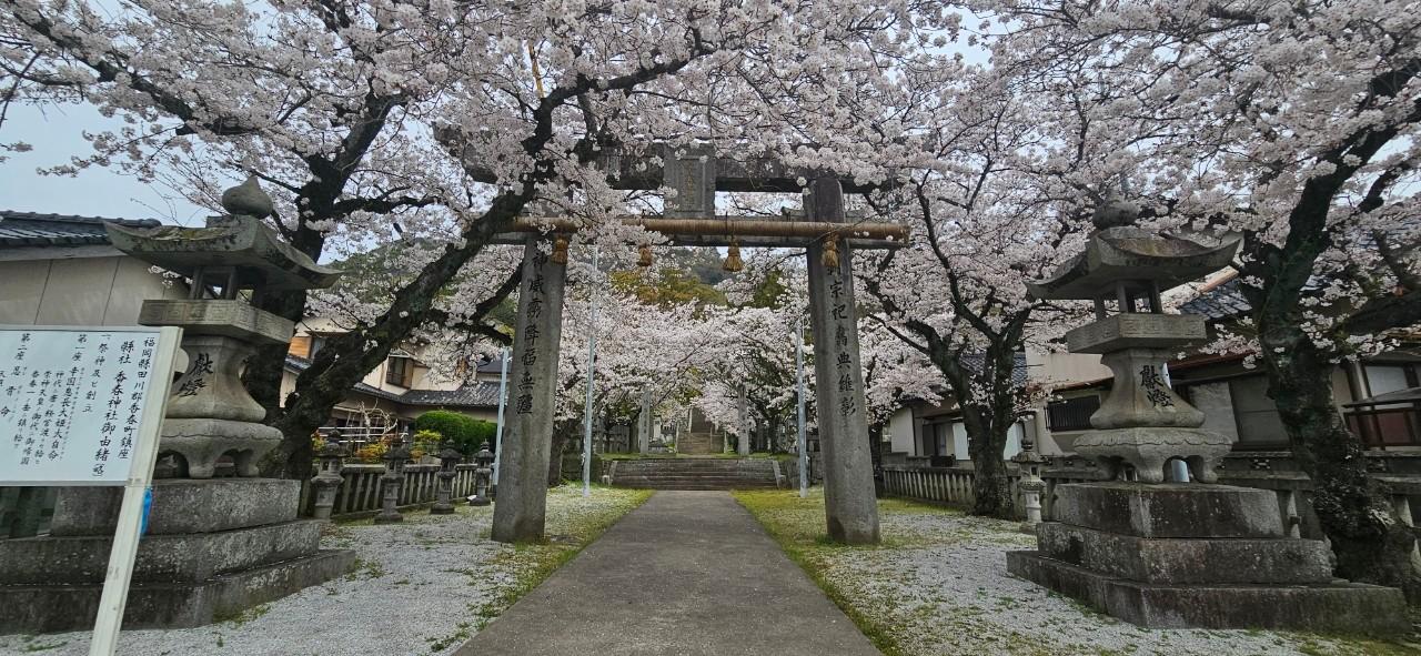 九州オルレ「筑豊・香春コース」春爛漫コラボオルレ-1