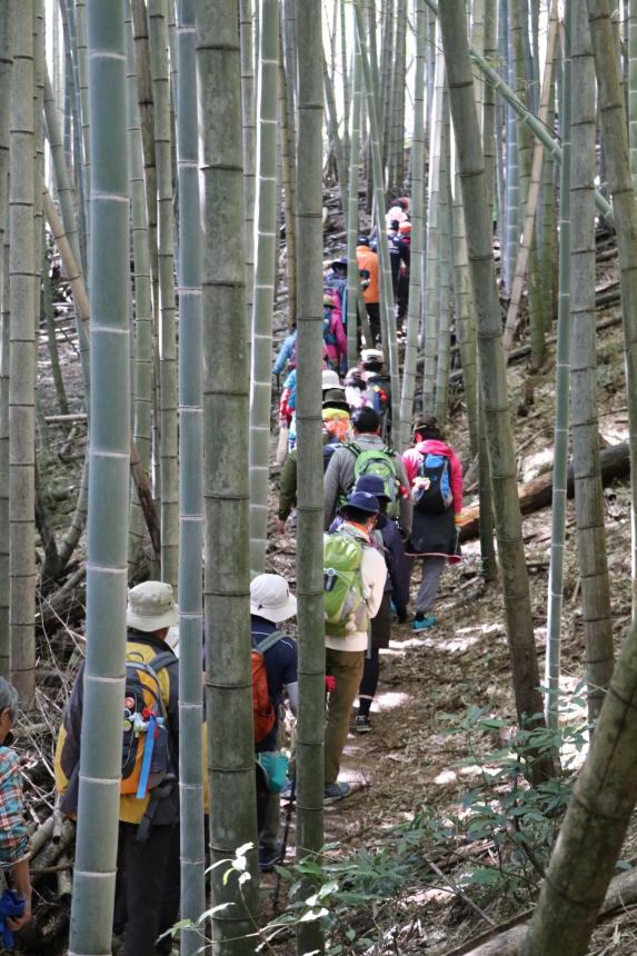 九州オルレ「筑豊・香春コース」春爛漫コラボオルレ-2
