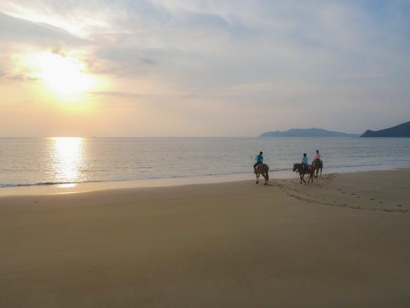 絶景！ビーチ乗馬体験（カナディアンキャンプ乗馬クラブ）-0