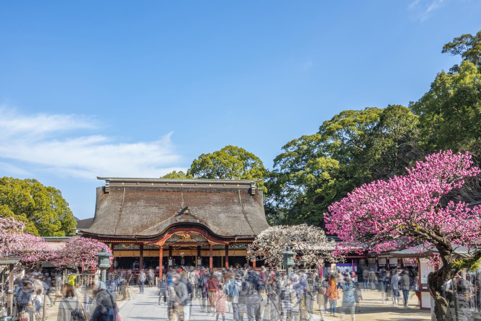 Dazaifu Manyo experience in the capital of Reiwa-5