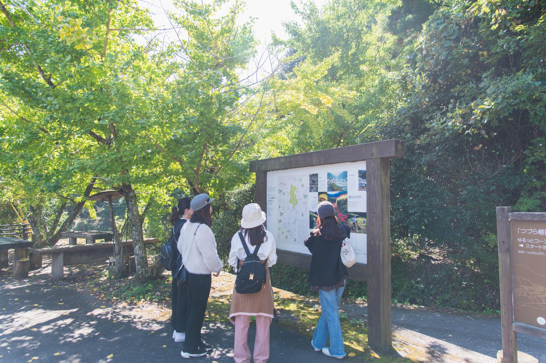 【森林セラピー基地うきは】つづら棚田の散歩道-4