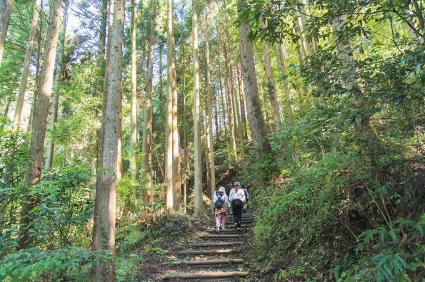 【森林セラピー基地うきは】つづら棚田の散歩道-5