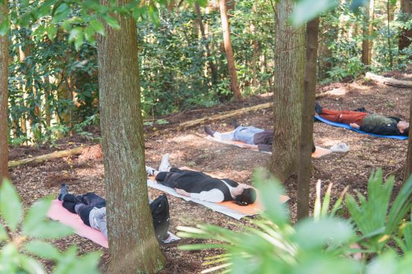 【森林セラピー基地うきは】つづら棚田の散歩道-6