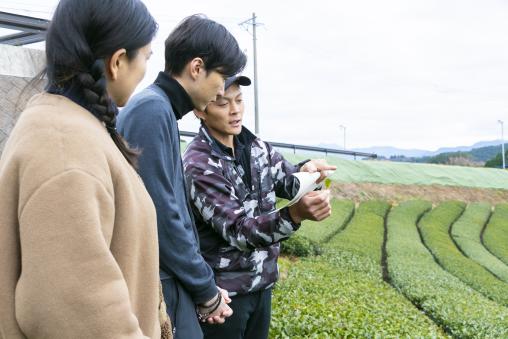 茶農家が教える美味しい八女茶の淹れ方講座＆茶畑散策-1