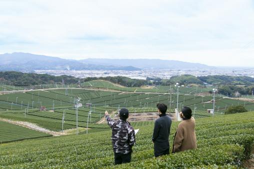 茶農家が教える美味しい八女茶の淹れ方講座＆茶畑散策-0